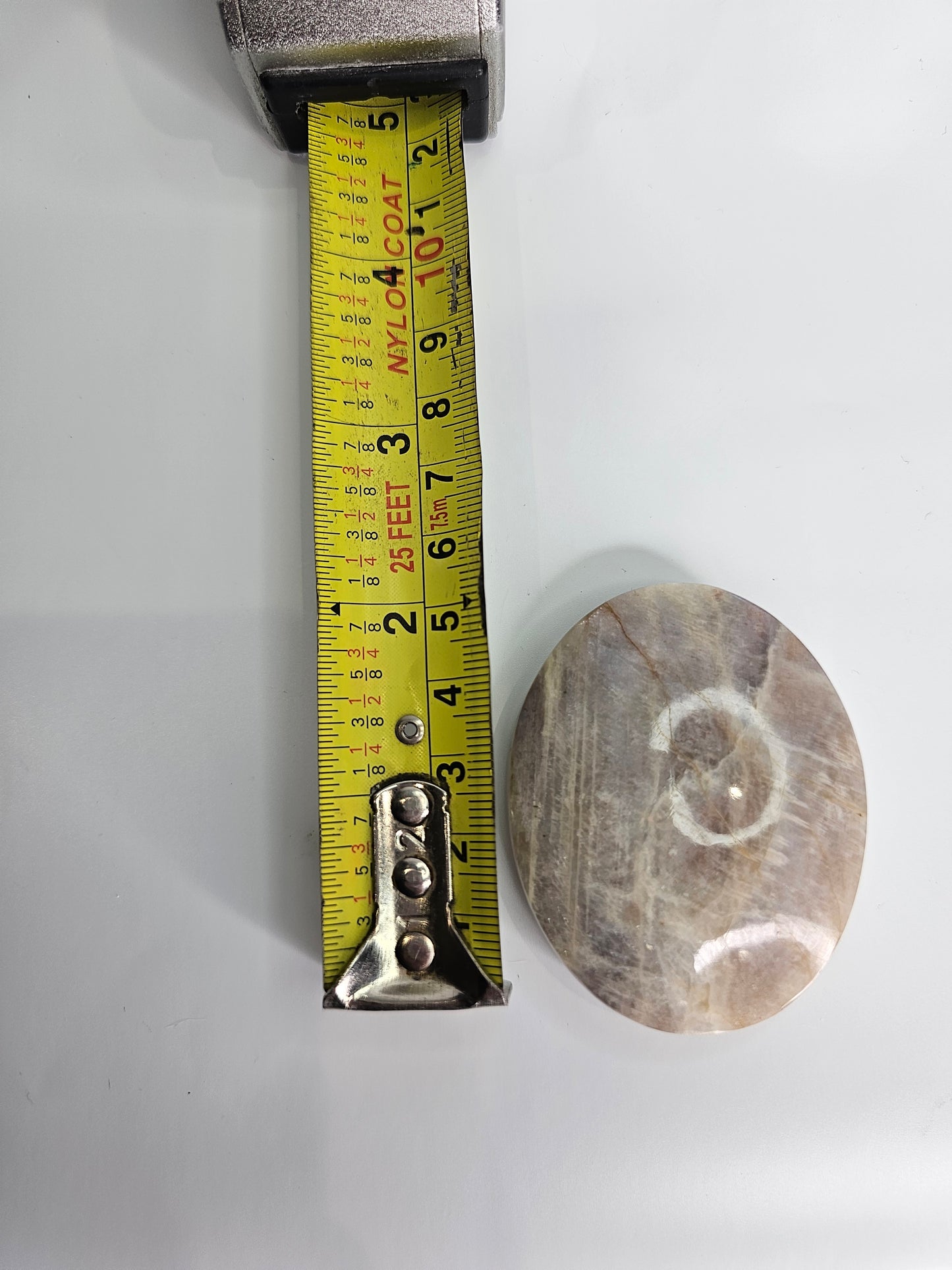 Moonstone/Sandstone Palm