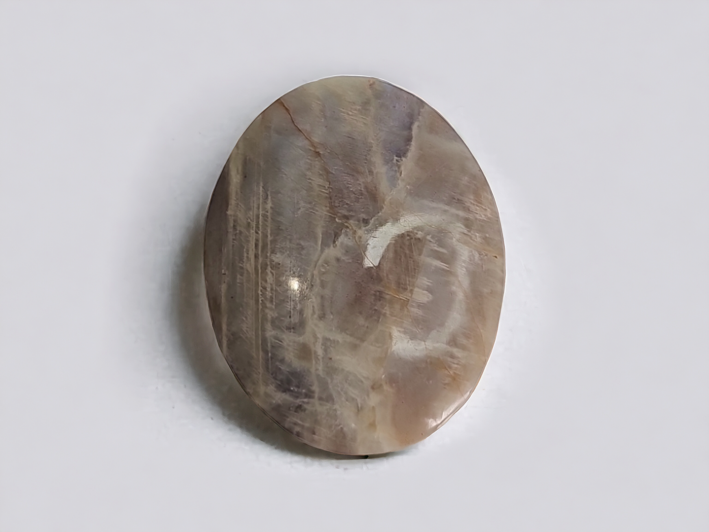 Moonstone/Sandstone Palm