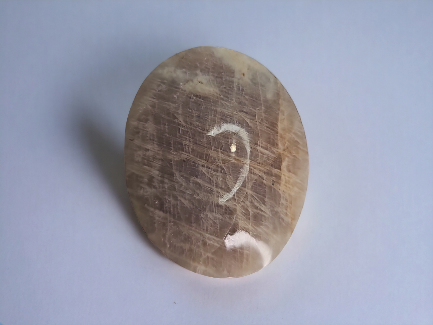 Moonstone/Sandstone Palm